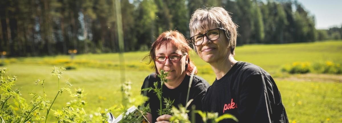 ympäristöala