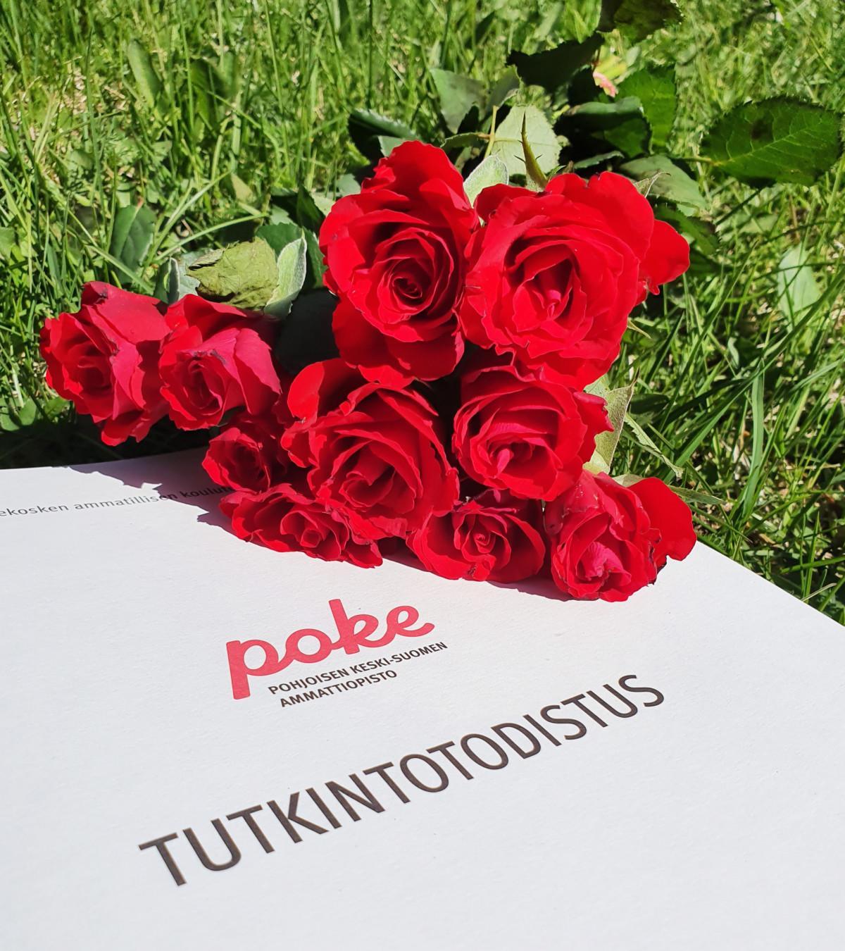 Todistus ja ruusu