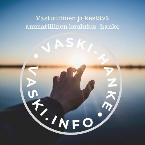 Vaski-logo
