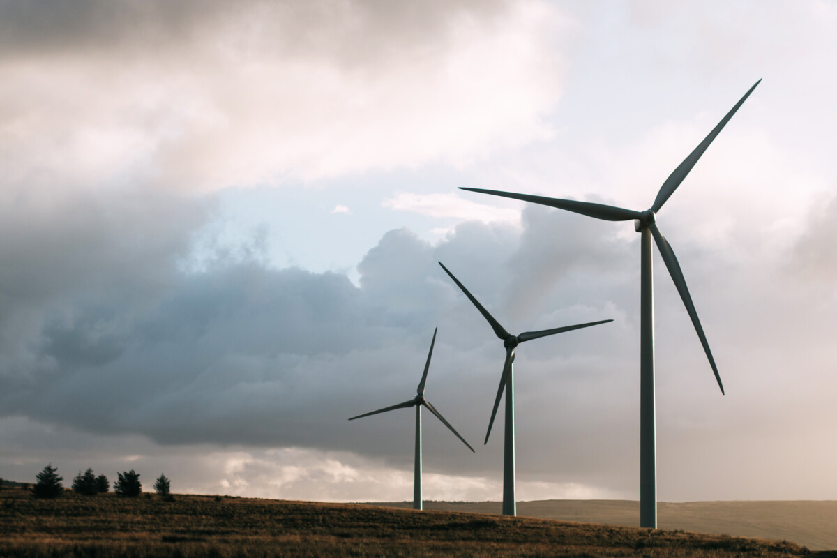windmills