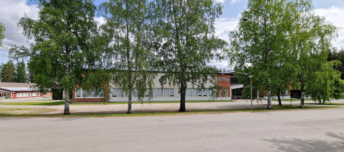 Viitasaari päärakennus