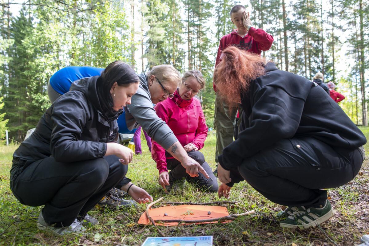 Viisi opiskelijaa metsässä