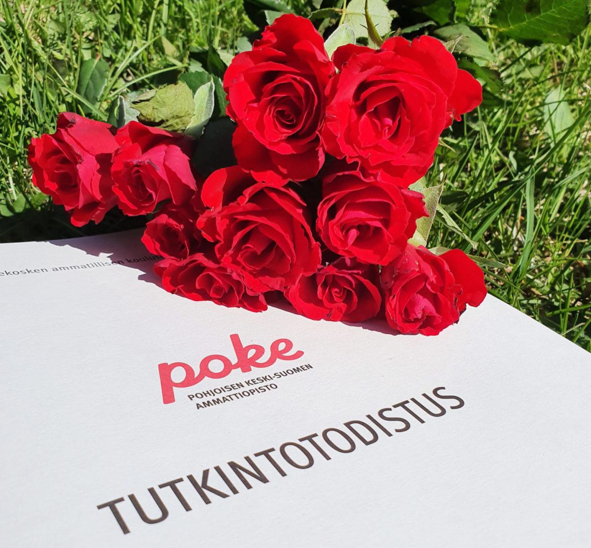 Todistus ja ruusu